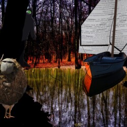 Self Portrait 413 aka Conviction tastes just like chicken Self Portrait 413 | original collage | boat, chicken, dung beetle