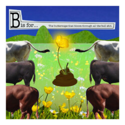 B is for... B is for... : Jenni digital collage : cut and paste, photo manipulation